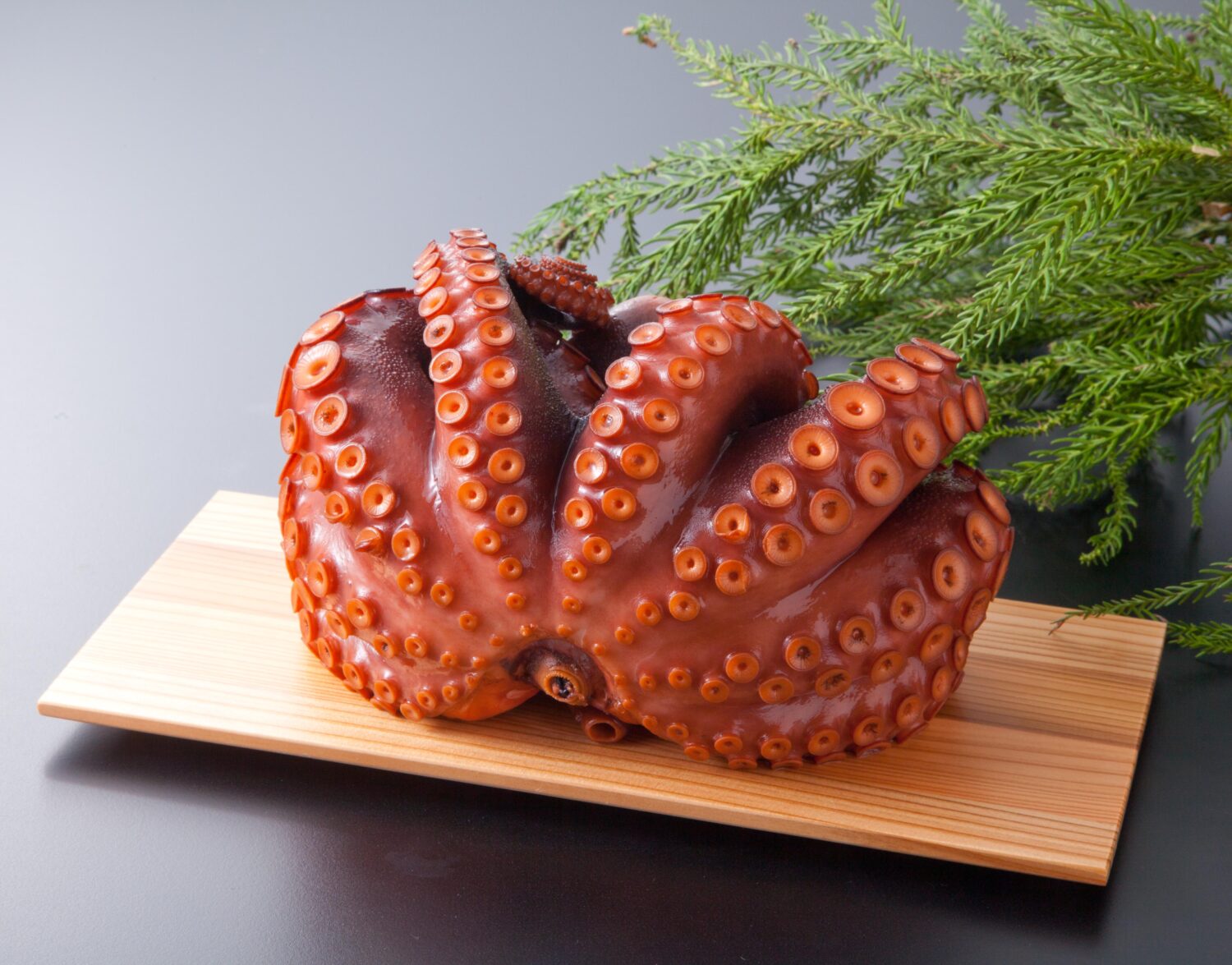 ヤマウチ　まだこ